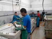 /album/nossa-estrutura/nossos-banhos-9-jpg/